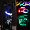 Pet Dog Nylon Safety Collar LED Light Puppy Necklace Dog Accessories