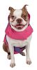 Touchdog Lightening-Shield Waterproof 2-in-1 Convertible Dog Jacket w/ Blackshark technology